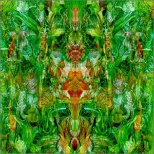 Emerald aether : shape shifting